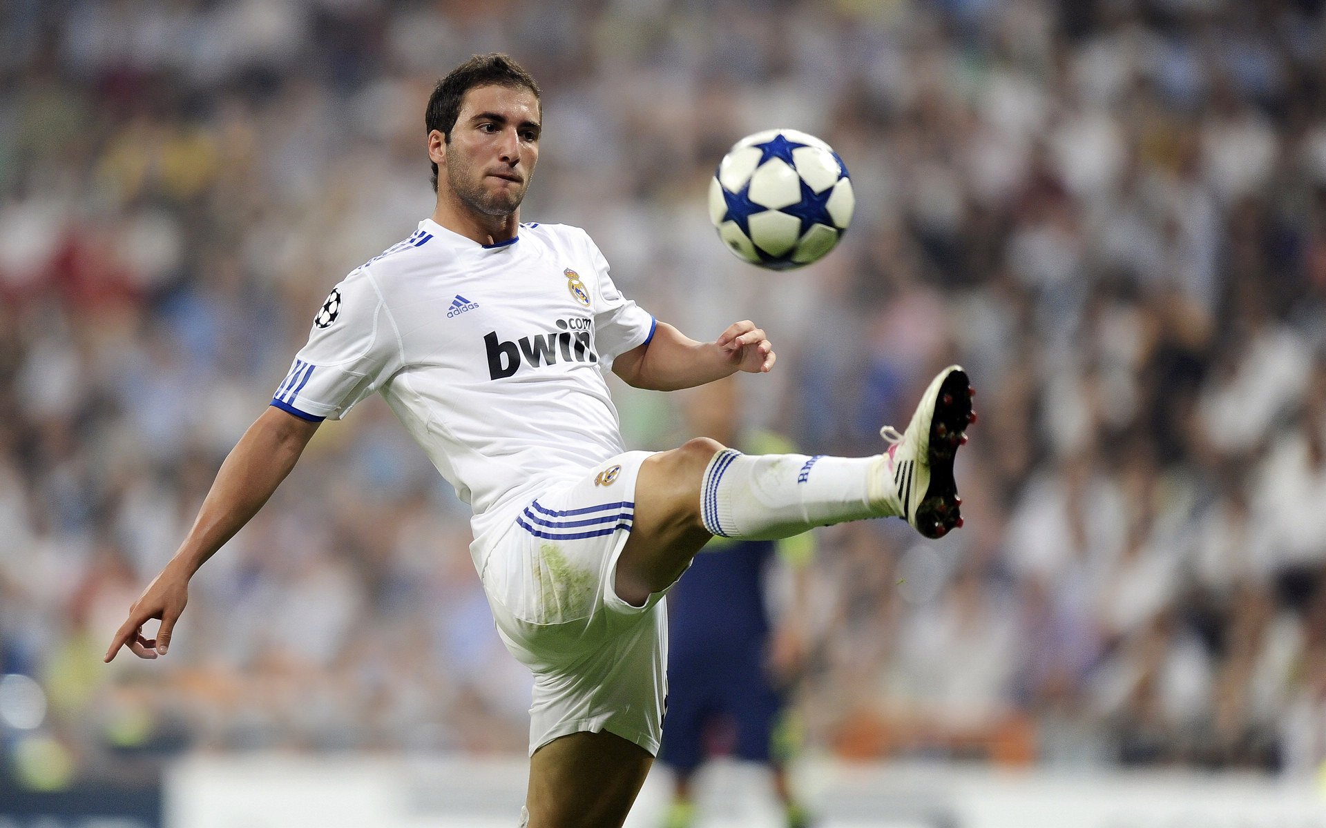 明晨年终总决赛前瞻：武磊伤情更新，金州勇士冲击连胜纪录